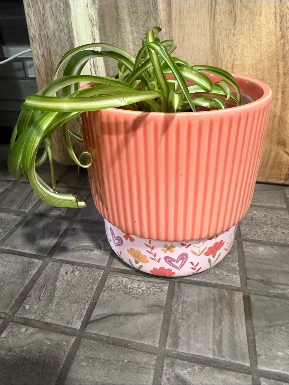 Coral Ribbed Ceramic Planter with Floral Bottom